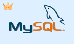 mysql基础教程[vip]